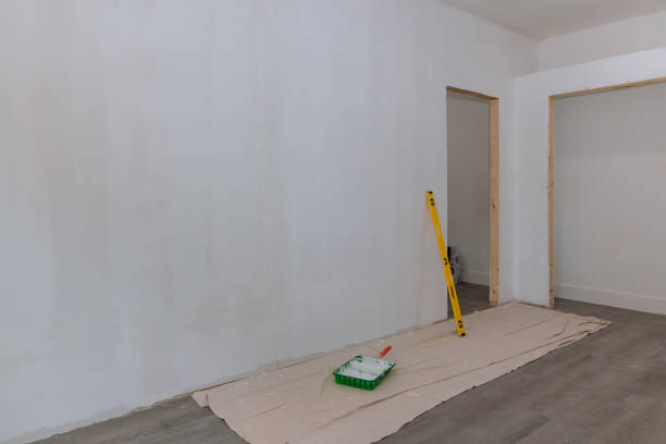 Reliable Perkins, OK Mold Removal Solutions
