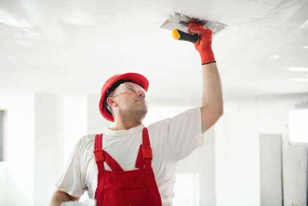 Best Attic Mold Removal  in Perkins, OK